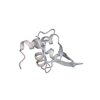 13936_7qep_C0_v1-0
Cryo-EM structure of the ribosome from Encephalitozoon cuniculi