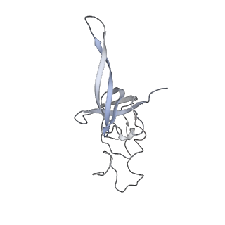 13936_7qep_C1_v1-0
Cryo-EM structure of the ribosome from Encephalitozoon cuniculi