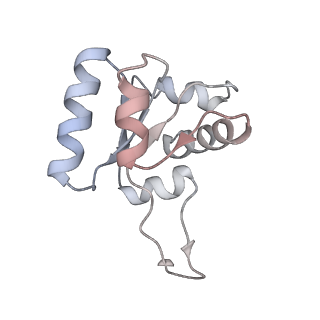 13936_7qep_C2_v1-0
Cryo-EM structure of the ribosome from Encephalitozoon cuniculi