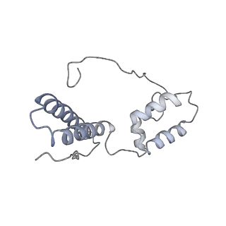 13936_7qep_C3_v1-0
Cryo-EM structure of the ribosome from Encephalitozoon cuniculi