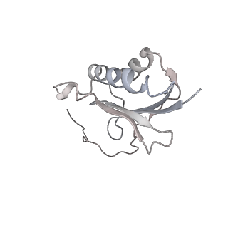 13936_7qep_C4_v1-0
Cryo-EM structure of the ribosome from Encephalitozoon cuniculi