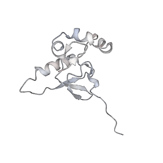 13936_7qep_C5_v1-0
Cryo-EM structure of the ribosome from Encephalitozoon cuniculi