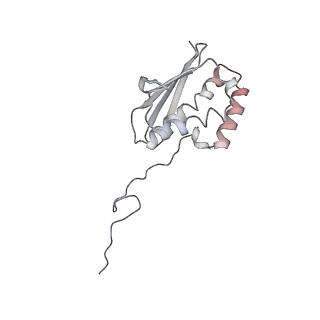 13936_7qep_C6_v1-0
Cryo-EM structure of the ribosome from Encephalitozoon cuniculi