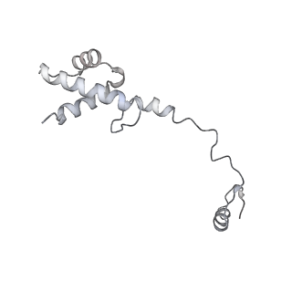 13936_7qep_C7_v1-0
Cryo-EM structure of the ribosome from Encephalitozoon cuniculi