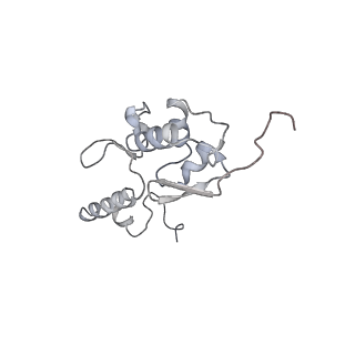 13936_7qep_C8_v1-0
Cryo-EM structure of the ribosome from Encephalitozoon cuniculi