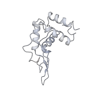 13936_7qep_C9_v1-0
Cryo-EM structure of the ribosome from Encephalitozoon cuniculi