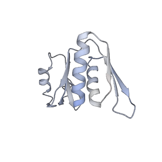 13936_7qep_D2_v1-0
Cryo-EM structure of the ribosome from Encephalitozoon cuniculi