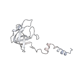 13936_7qep_D3_v1-0
Cryo-EM structure of the ribosome from Encephalitozoon cuniculi