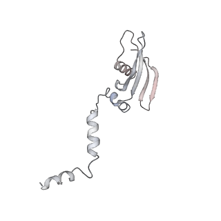 13936_7qep_D4_v1-0
Cryo-EM structure of the ribosome from Encephalitozoon cuniculi