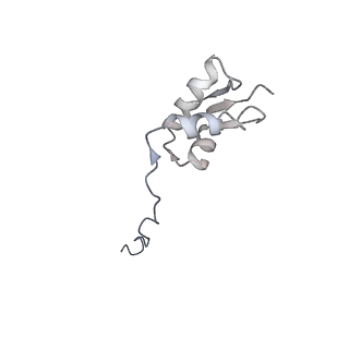 13936_7qep_D5_v1-0
Cryo-EM structure of the ribosome from Encephalitozoon cuniculi