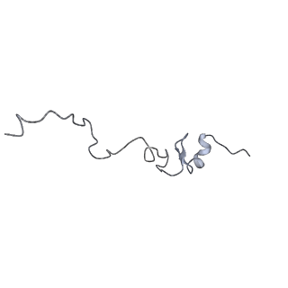 13936_7qep_D9_v1-0
Cryo-EM structure of the ribosome from Encephalitozoon cuniculi