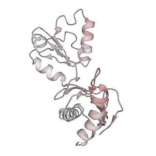 13936_7qep_L1_v1-0
Cryo-EM structure of the ribosome from Encephalitozoon cuniculi