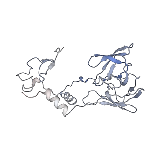 13936_7qep_L2_v1-0
Cryo-EM structure of the ribosome from Encephalitozoon cuniculi
