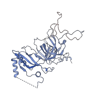 13936_7qep_L3_v1-0
Cryo-EM structure of the ribosome from Encephalitozoon cuniculi