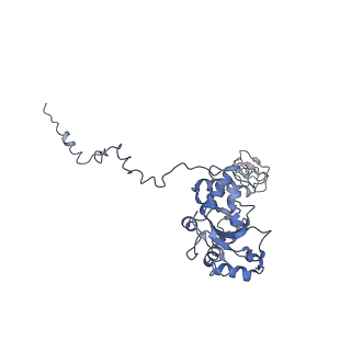 13936_7qep_L4_v1-0
Cryo-EM structure of the ribosome from Encephalitozoon cuniculi