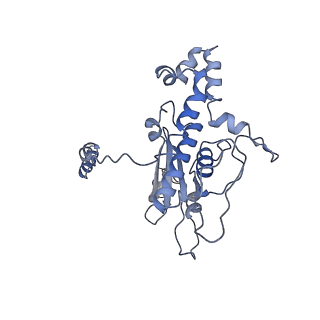 13936_7qep_L5_v1-0
Cryo-EM structure of the ribosome from Encephalitozoon cuniculi