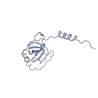 13936_7qep_L6_v1-0
Cryo-EM structure of the ribosome from Encephalitozoon cuniculi