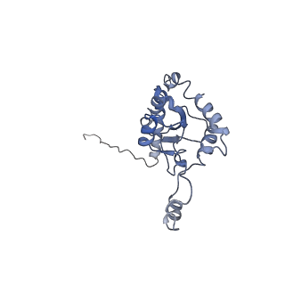 13936_7qep_L8_v1-0
Cryo-EM structure of the ribosome from Encephalitozoon cuniculi