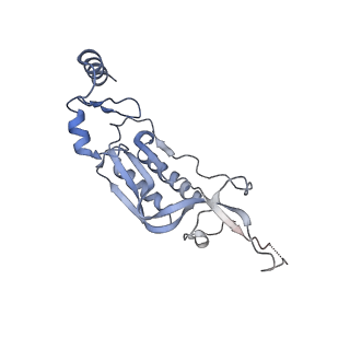 13936_7qep_M0_v1-0
Cryo-EM structure of the ribosome from Encephalitozoon cuniculi