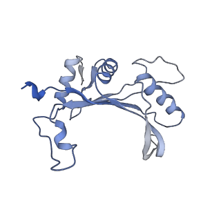 13936_7qep_M1_v1-0
Cryo-EM structure of the ribosome from Encephalitozoon cuniculi
