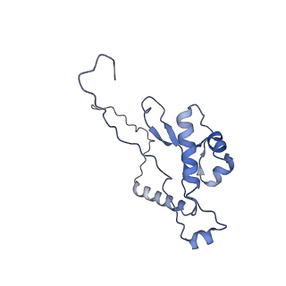 13936_7qep_M3_v1-0
Cryo-EM structure of the ribosome from Encephalitozoon cuniculi