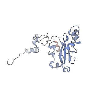 13936_7qep_M5_v1-0
Cryo-EM structure of the ribosome from Encephalitozoon cuniculi
