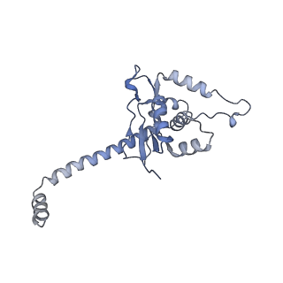 13936_7qep_M6_v1-0
Cryo-EM structure of the ribosome from Encephalitozoon cuniculi