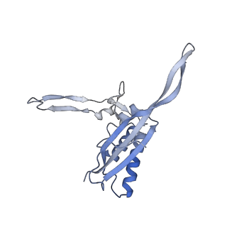 13936_7qep_M7_v1-0
Cryo-EM structure of the ribosome from Encephalitozoon cuniculi