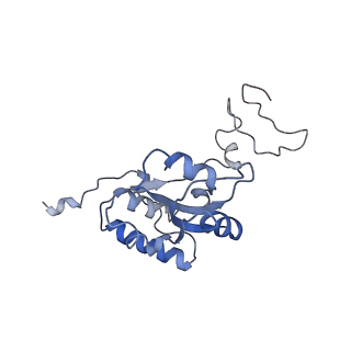 13936_7qep_M8_v1-0
Cryo-EM structure of the ribosome from Encephalitozoon cuniculi