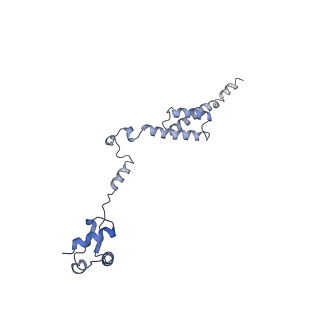 13936_7qep_M9_v1-0
Cryo-EM structure of the ribosome from Encephalitozoon cuniculi