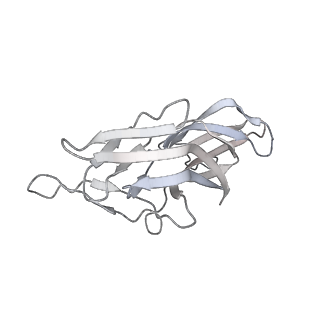 13936_7qep_MD_v1-0
Cryo-EM structure of the ribosome from Encephalitozoon cuniculi