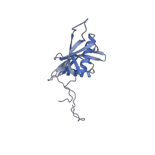 13936_7qep_N0_v1-0
Cryo-EM structure of the ribosome from Encephalitozoon cuniculi