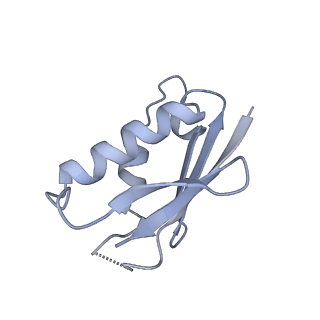 13936_7qep_N2_v1-0
Cryo-EM structure of the ribosome from Encephalitozoon cuniculi