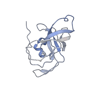 13936_7qep_N3_v1-0
Cryo-EM structure of the ribosome from Encephalitozoon cuniculi
