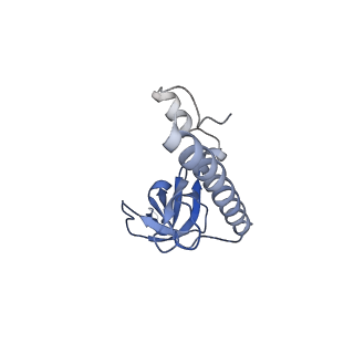 13936_7qep_N6_v1-0
Cryo-EM structure of the ribosome from Encephalitozoon cuniculi