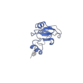 13936_7qep_N8_v1-0
Cryo-EM structure of the ribosome from Encephalitozoon cuniculi