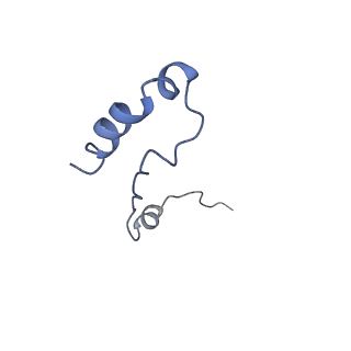 13936_7qep_N9_v1-0
Cryo-EM structure of the ribosome from Encephalitozoon cuniculi