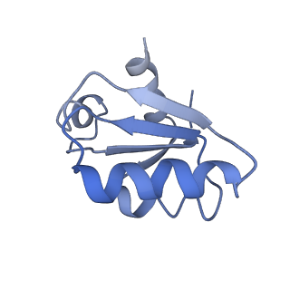 13936_7qep_O0_v1-0
Cryo-EM structure of the ribosome from Encephalitozoon cuniculi