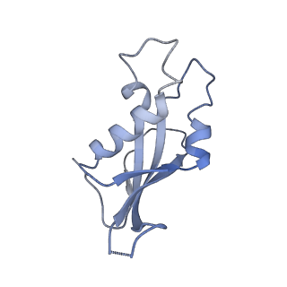 13936_7qep_O1_v1-0
Cryo-EM structure of the ribosome from Encephalitozoon cuniculi
