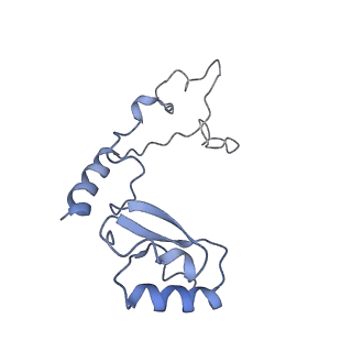 13936_7qep_O2_v1-0
Cryo-EM structure of the ribosome from Encephalitozoon cuniculi