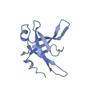 13936_7qep_O3_v1-0
Cryo-EM structure of the ribosome from Encephalitozoon cuniculi