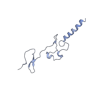 13936_7qep_O4_v1-0
Cryo-EM structure of the ribosome from Encephalitozoon cuniculi