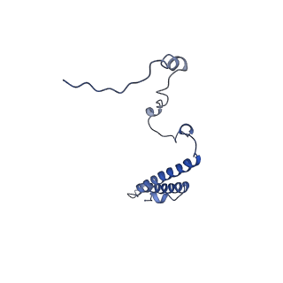 13936_7qep_O5_v1-0
Cryo-EM structure of the ribosome from Encephalitozoon cuniculi