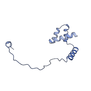 13936_7qep_O6_v1-0
Cryo-EM structure of the ribosome from Encephalitozoon cuniculi