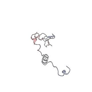 13936_7qep_O7_v1-0
Cryo-EM structure of the ribosome from Encephalitozoon cuniculi