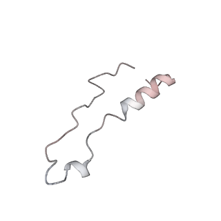 13936_7qep_O9_v1-0
Cryo-EM structure of the ribosome from Encephalitozoon cuniculi