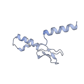 13936_7qep_P3_v1-0
Cryo-EM structure of the ribosome from Encephalitozoon cuniculi