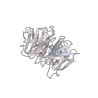 13936_7qep_RA_v1-0
Cryo-EM structure of the ribosome from Encephalitozoon cuniculi
