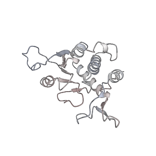 13936_7qep_S0_v1-0
Cryo-EM structure of the ribosome from Encephalitozoon cuniculi