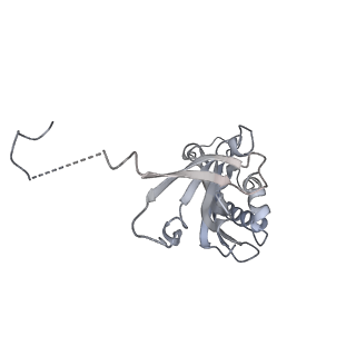 13936_7qep_S1_v1-0
Cryo-EM structure of the ribosome from Encephalitozoon cuniculi